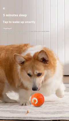 Smart Electronic Pet Toy Ball