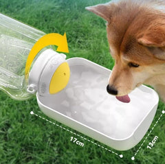 Portable Water Bottle