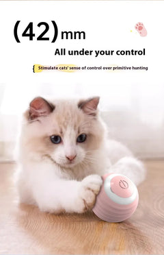 Smart Electronic Pet Toy Ball