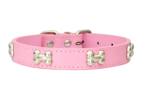 Spooky Bone Halloween Pet Collar