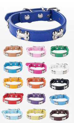Spooky Bone Halloween Pet Collar