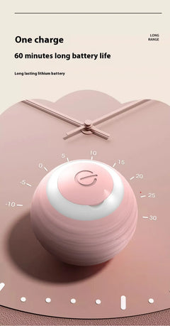 Smart Electronic Pet Toy Ball