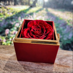 Love Knot with Rotating Rose Gift Box - A Rose For Your Endless Warmth