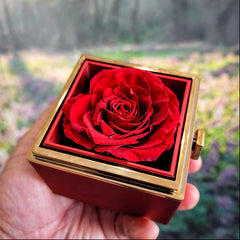 Love Knot with Rotating Rose Gift Box - A Rose For Your Endless Warmth