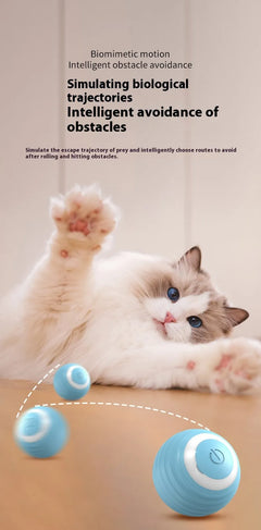 Smart Electronic Pet Toy Ball