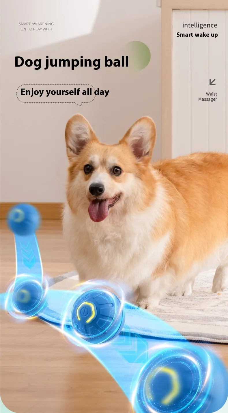 Smart Electronic Pet Toy Ball