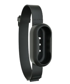 Animal Adventure Cam