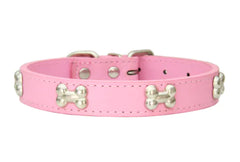 Spooky Bone Halloween Pet Collar